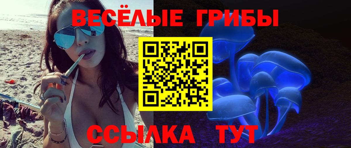 Тимашёвск  Галлюциногенные грибы мицелий  Вход с VPN 