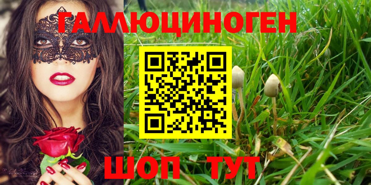 Галлюциногенные грибы прущие грибы Тимашёвск